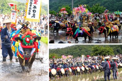 【広島駅新幹線口・アストラムライン古市駅発着/日帰り】ユネスコ無形文化遺産 壬生の花田植と神楽鑑賞 ~北広島町1,000年の伝統行事~1
